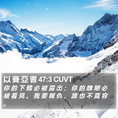 以 賽 亞 書 47:3 CUVT Bible Verse Image