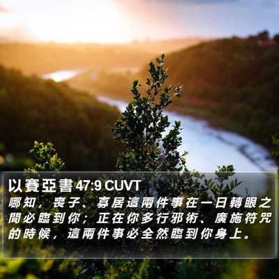 以 賽 亞 書 47:9 CUVT Bible Verse Image