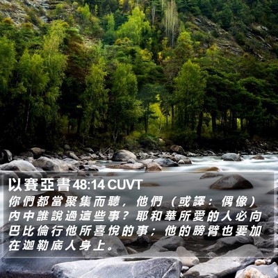 以 賽 亞 書 48:14 CUVT Bible Verse Image