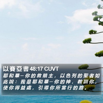以 賽 亞 書 48:17 CUVT Bible Verse Image