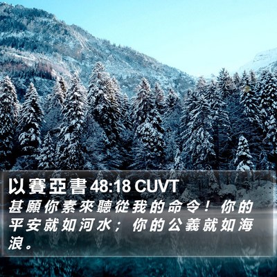 以 賽 亞 書 48:18 CUVT Bible Verse Image