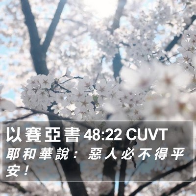 以 賽 亞 書 48:22 CUVT Bible Verse Image