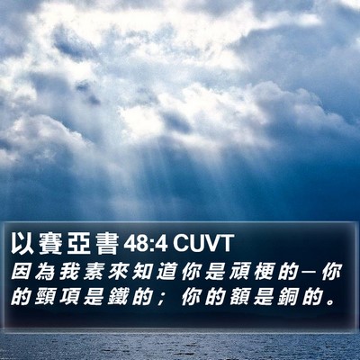 以 賽 亞 書 48:4 CUVT Bible Verse Image
