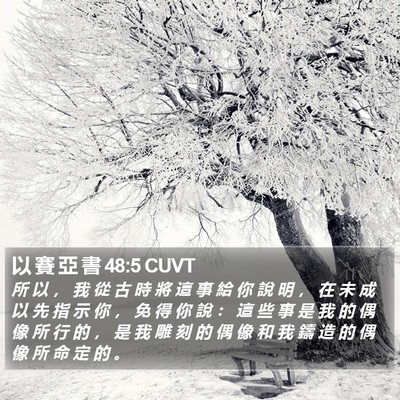 以 賽 亞 書 48:5 CUVT Bible Verse Image