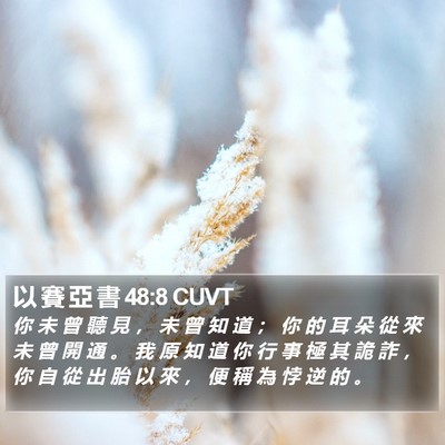 以 賽 亞 書 48:8 CUVT Bible Verse Image