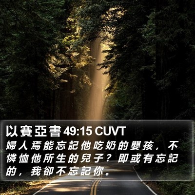 以 賽 亞 書 49:15 CUVT Bible Verse Image