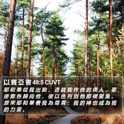 以 賽 亞 書 49:5 CUVT Bible Verse Image