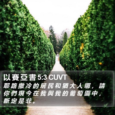 以 賽 亞 書 5:3 CUVT Bible Verse Image