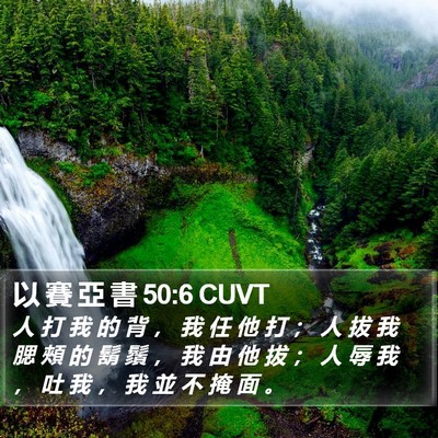 以 賽 亞 書 50:6 CUVT Bible Verse Image