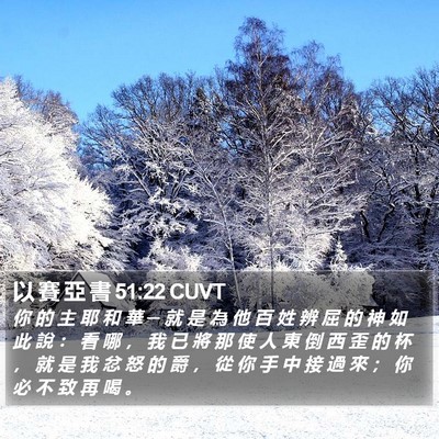 以 賽 亞 書 51:22 CUVT Bible Verse Image