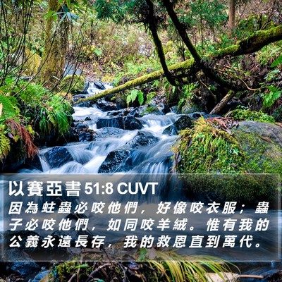 以 賽 亞 書 51:8 CUVT Bible Verse Image
