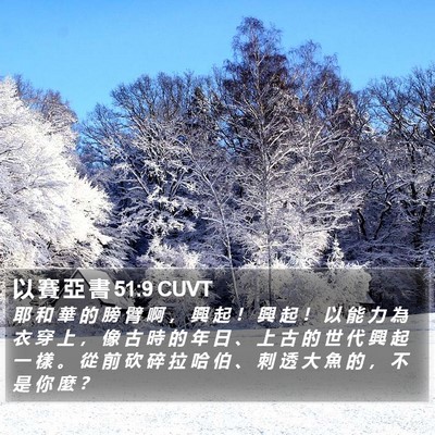 以 賽 亞 書 51:9 CUVT Bible Verse Image