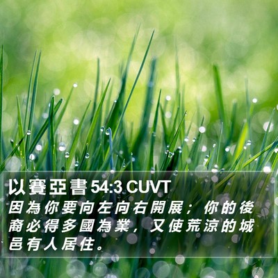 以 賽 亞 書 54:3 CUVT Bible Verse Image