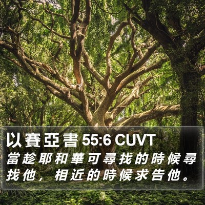 以 賽 亞 書 55:6 CUVT Bible Verse Image