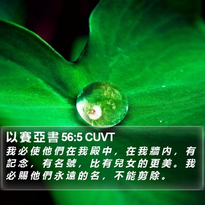 以 賽 亞 書 56:5 CUVT Bible Verse Image