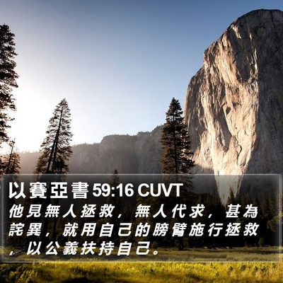 以 賽 亞 書 59:16 CUVT Bible Verse Image