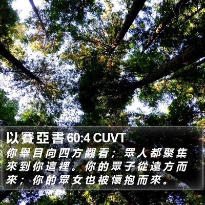以 賽 亞 書 60:4 CUVT Bible Verse Image