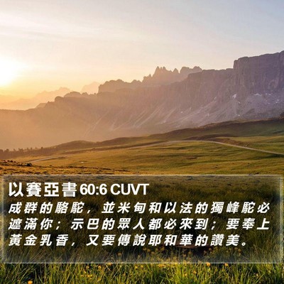 以 賽 亞 書 60:6 CUVT Bible Verse Image