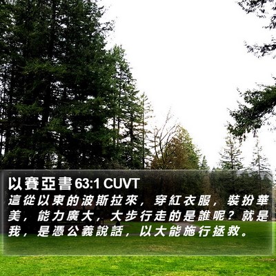 以 賽 亞 書 63:1 CUVT Bible Verse Image