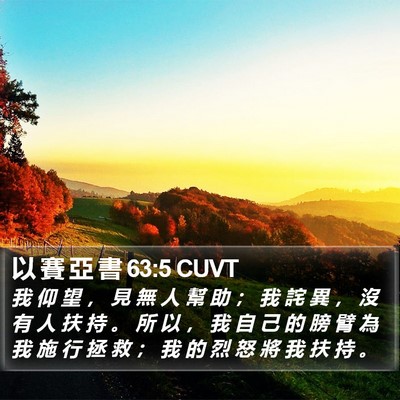以 賽 亞 書 63:5 CUVT Bible Verse Image