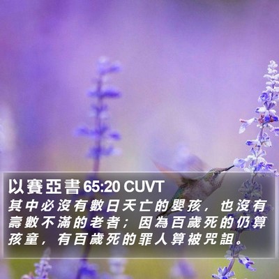以 賽 亞 書 65:20 CUVT Bible Verse Image