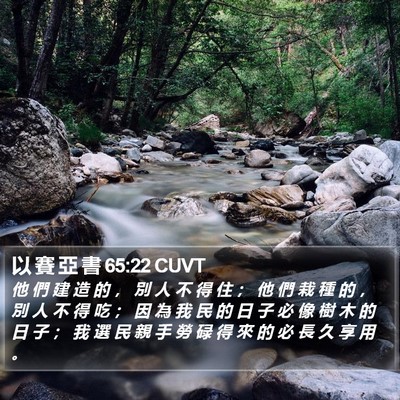 以 賽 亞 書 65:22 CUVT Bible Verse Image