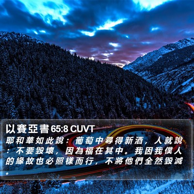 以 賽 亞 書 65:8 CUVT Bible Verse Image