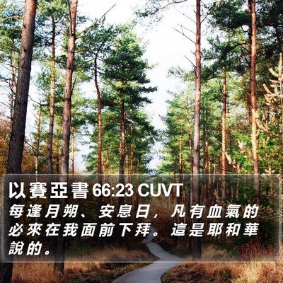 以 賽 亞 書 66:23 CUVT Bible Verse Image