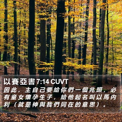 以 賽 亞 書 7:14 CUVT Bible Verse Image