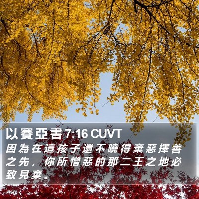 以 賽 亞 書 7:16 CUVT Bible Verse Image