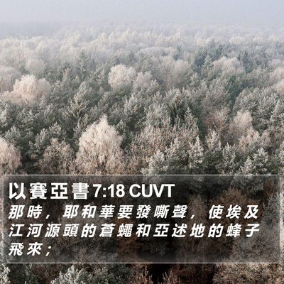 以 賽 亞 書 7:18 CUVT Bible Verse Image