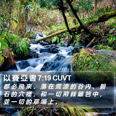 以 賽 亞 書 7:19 CUVT Bible Verse Image