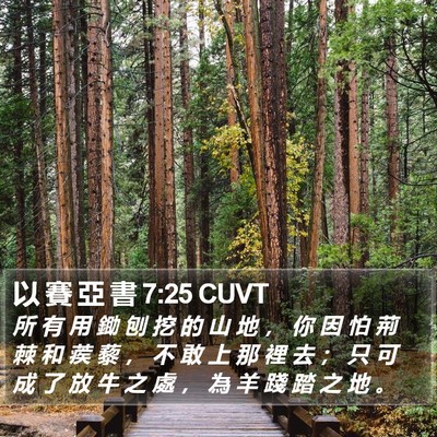 以 賽 亞 書 7:25 CUVT Bible Verse Image