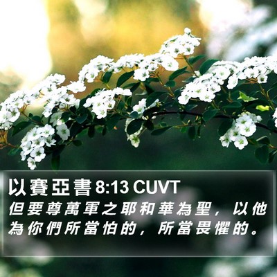 以 賽 亞 書 8:13 CUVT Bible Verse Image