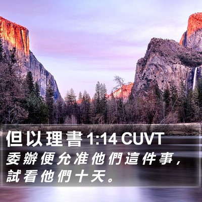 但 以 理 書 1:14 CUVT Bible Verse Image