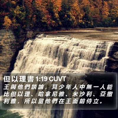 但 以 理 書 1:19 CUVT Bible Verse Image