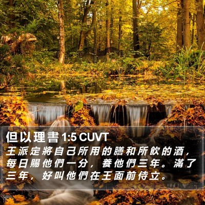 但 以 理 書 1:5 CUVT Bible Verse Image