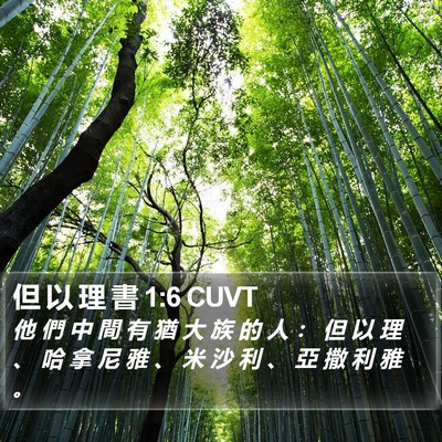 但 以 理 書 1:6 CUVT Bible Verse Image