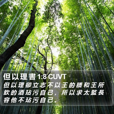 但 以 理 書 1:8 CUVT Bible Verse Image