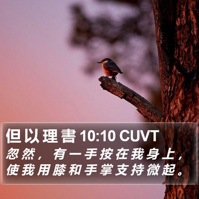 但 以 理 書 10:10 CUVT Bible Verse Image