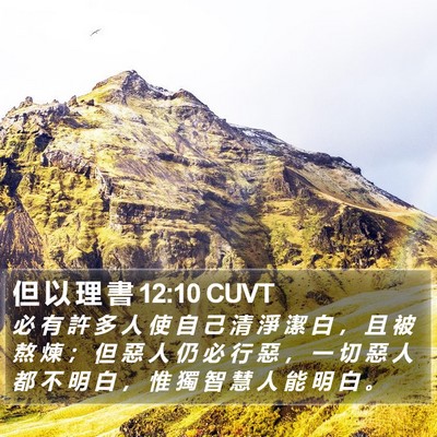 但 以 理 書 12:10 CUVT Bible Verse Image