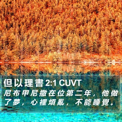 但 以 理 書 2:1 CUVT Bible Verse Image
