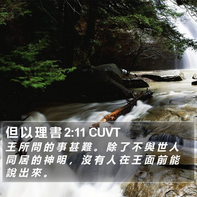 但 以 理 書 2:11 CUVT Bible Verse Image