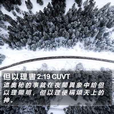 但 以 理 書 2:19 CUVT Bible Verse Image