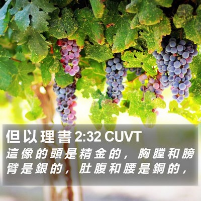 但 以 理 書 2:32 CUVT Bible Verse Image