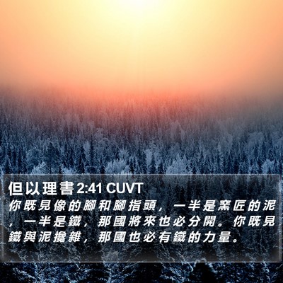 但 以 理 書 2:41 CUVT Bible Verse Image