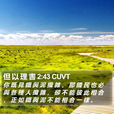 但 以 理 書 2:43 CUVT Bible Verse Image