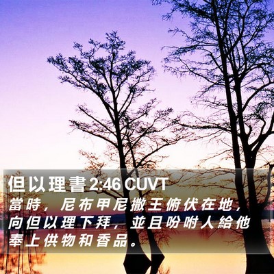 但 以 理 書 2:46 CUVT Bible Verse Image