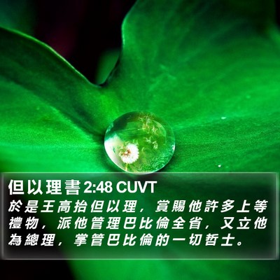 但 以 理 書 2:48 CUVT Bible Verse Image