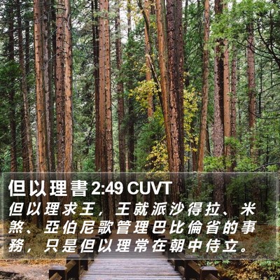 但 以 理 書 2:49 CUVT Bible Verse Image